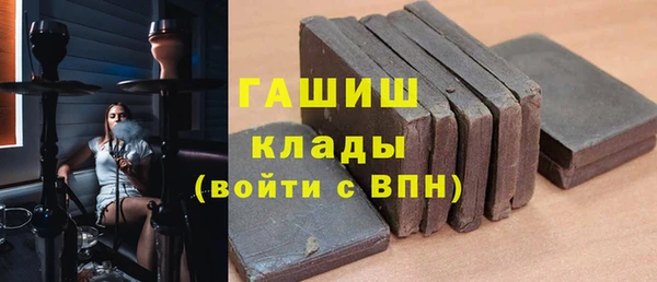 сатива Бородино