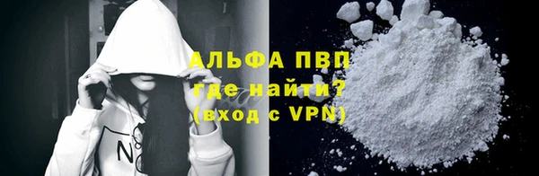 сатива Бородино