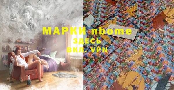 сатива Бородино