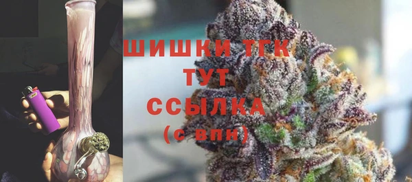 сатива Бородино