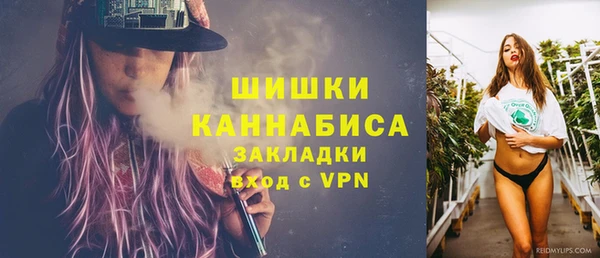 сатива Бородино