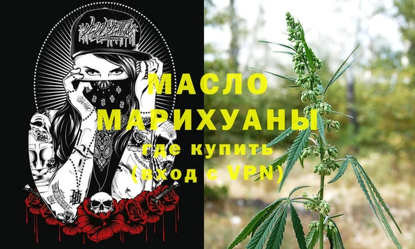 дмт Елизово