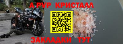 стафф Шелехов