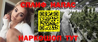 стафф Шелехов
