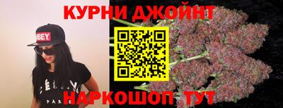 стафф Шелехов
