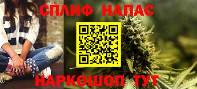 стафф Шелехов