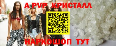 стафф Шелехов