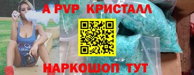 стафф Шелехов