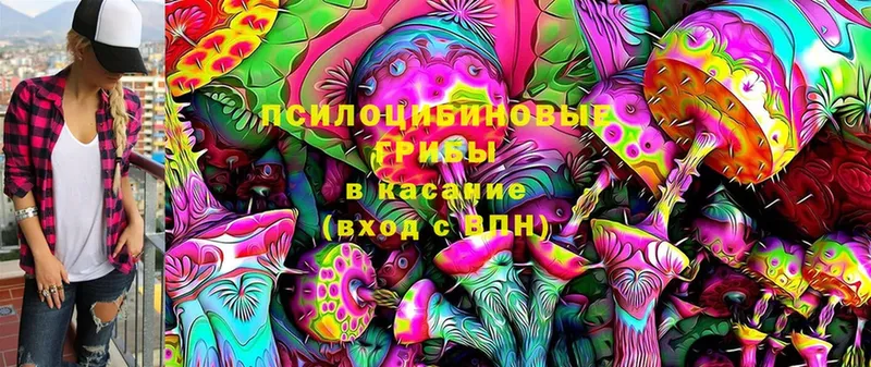 Галлюциногенные грибы Psilocybe  гидра онион  Копейск  как найти  