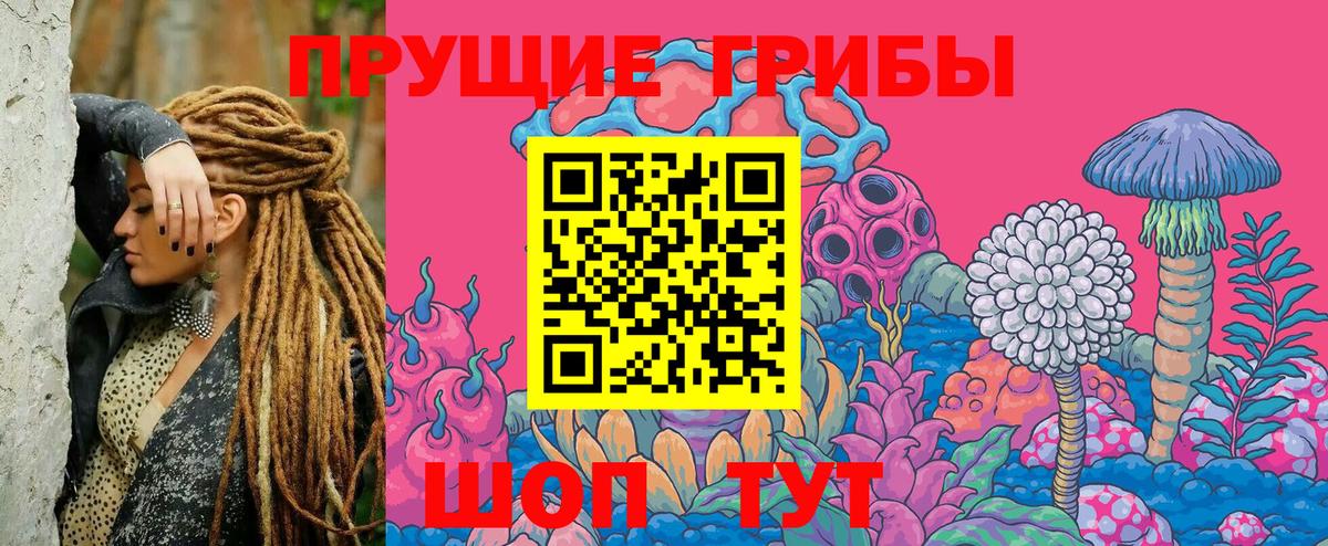 Псилоцибиновые грибы прущие грибы Копейск